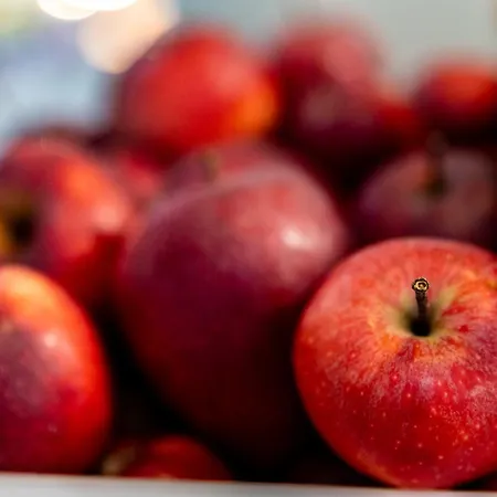 Mpm Kalina Garden Szálloda