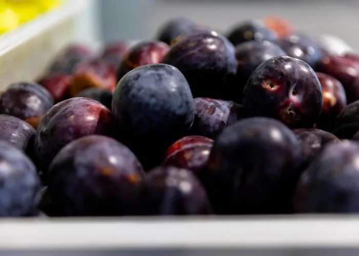 Mpm Kalina Garden - 4*