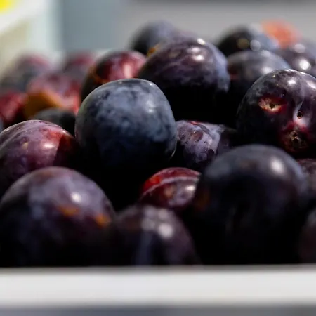 Mpm Kalina Garden 4*